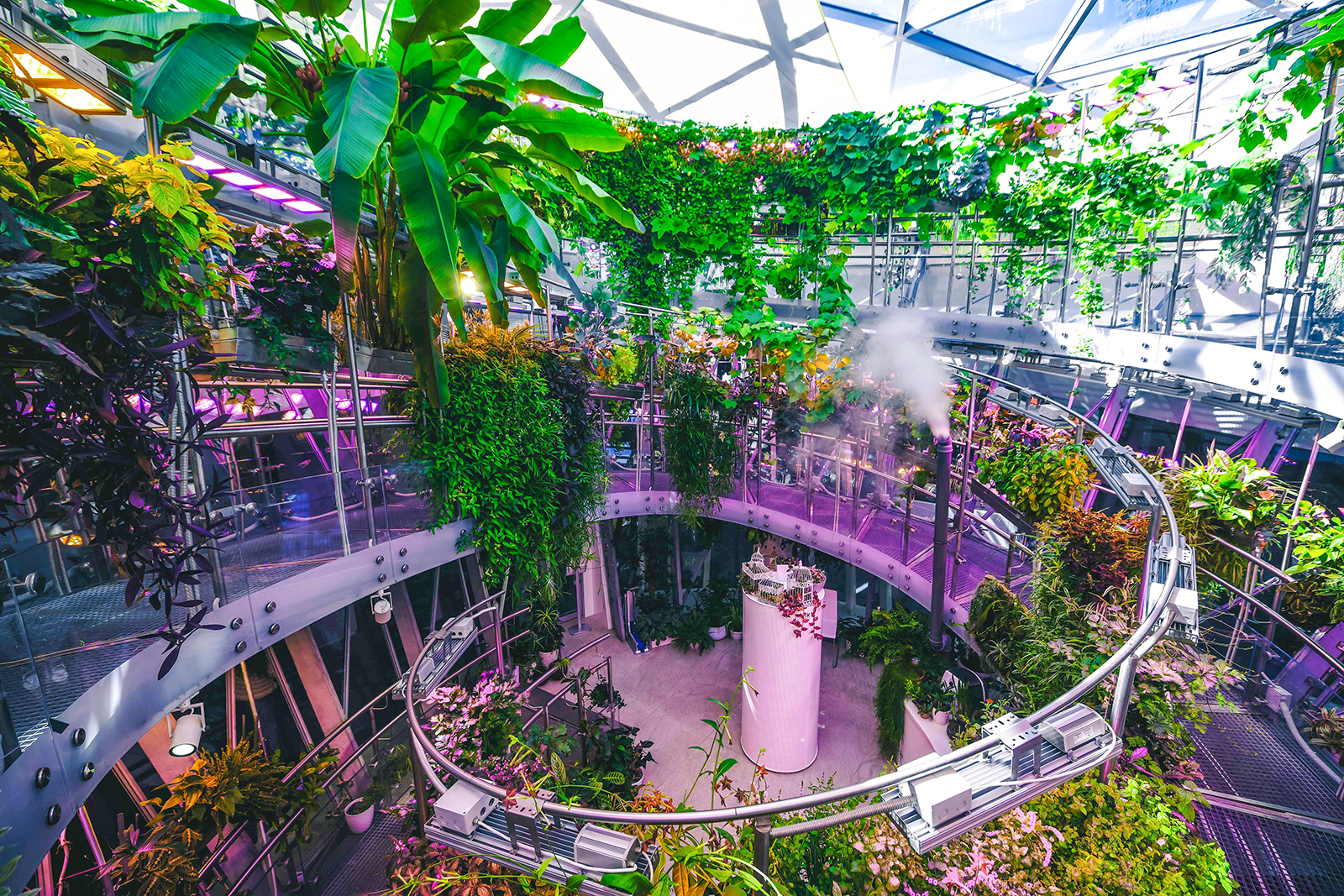 парк сад будущего ботанический сад