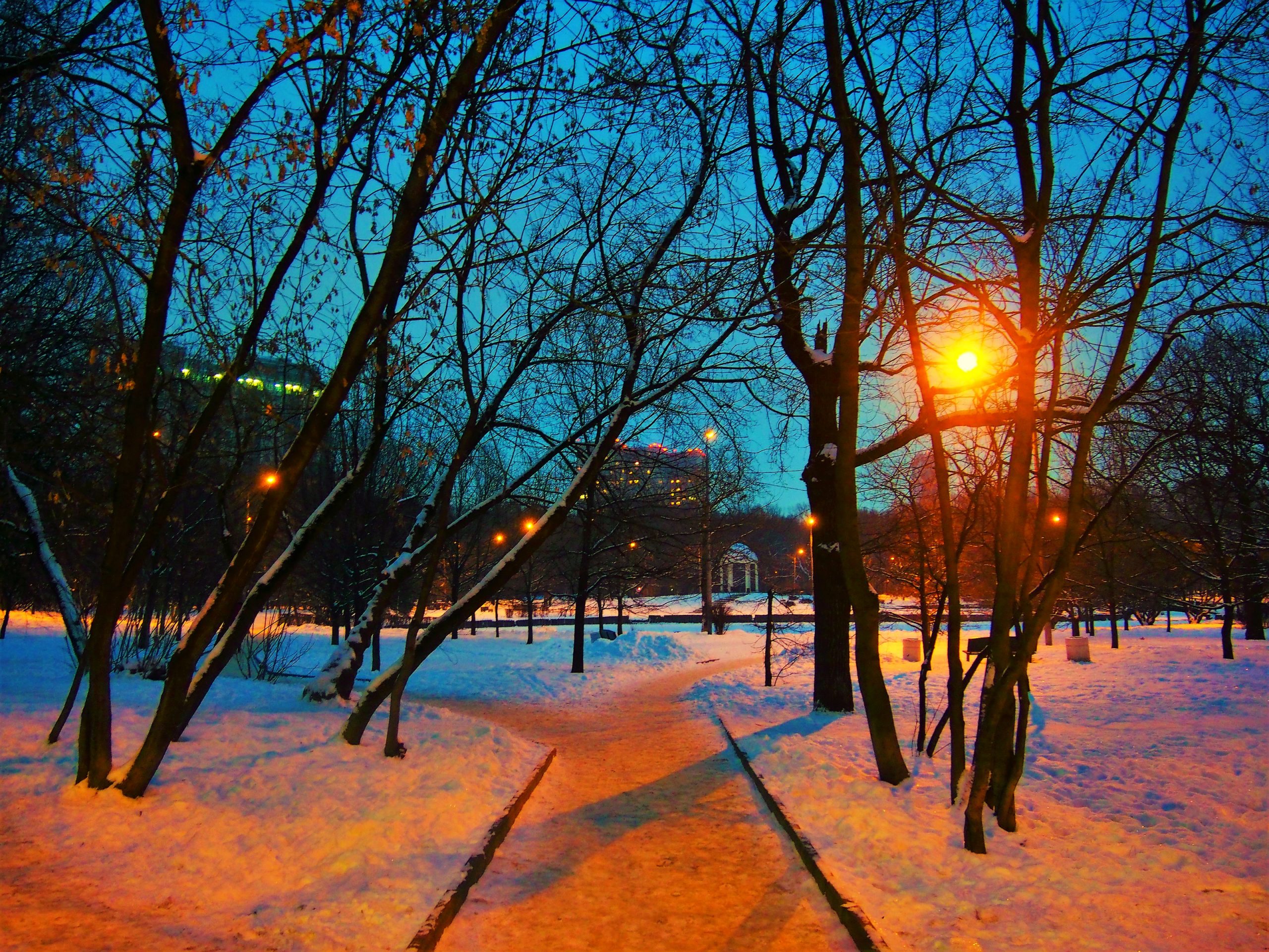 Москва теплая зима. Зимний вечер в городе. Москва зимой. Москва зима солнце. Зимний вечер в Москве.