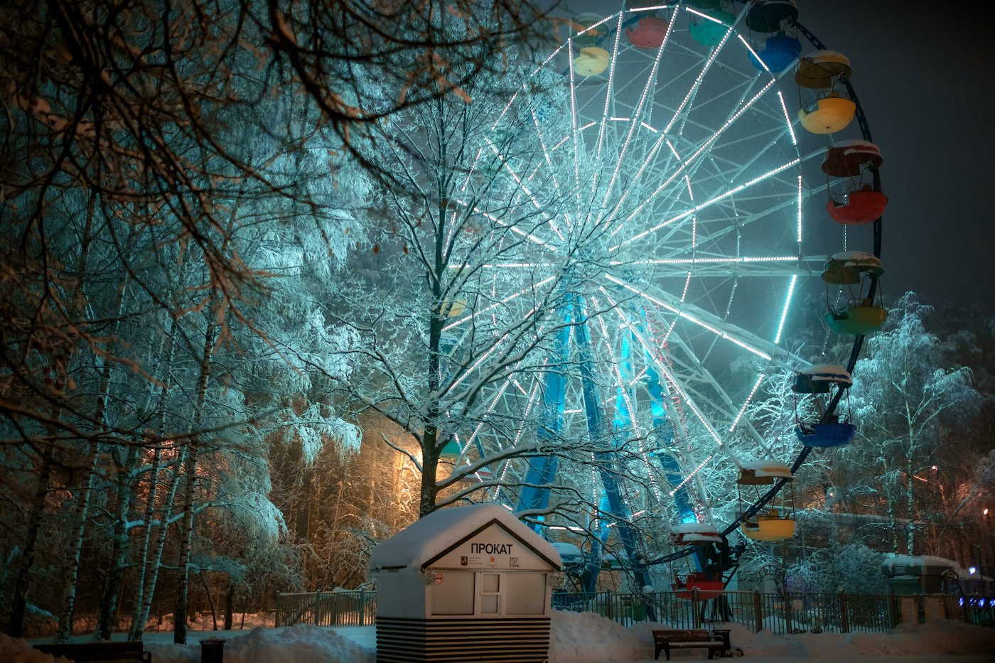 Колесо обозрения москва фото